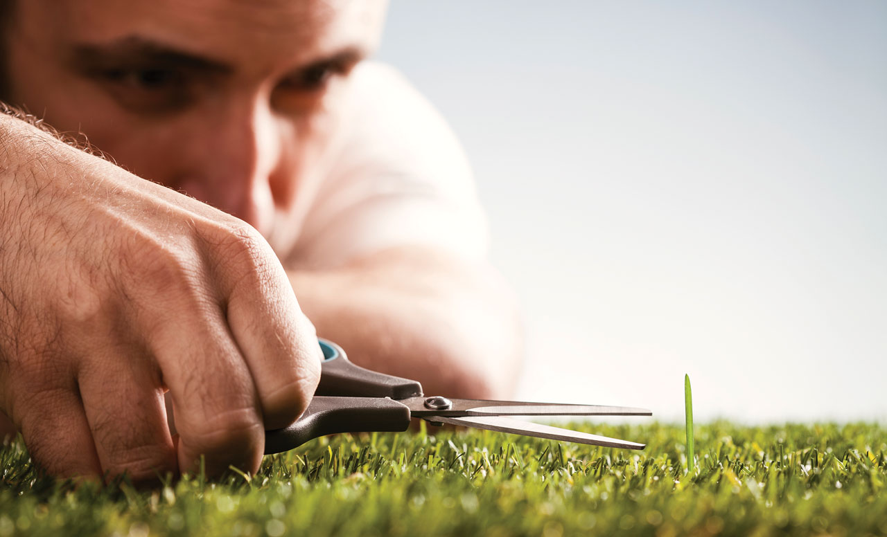 Photo of man cutting a single blade of grass in a field