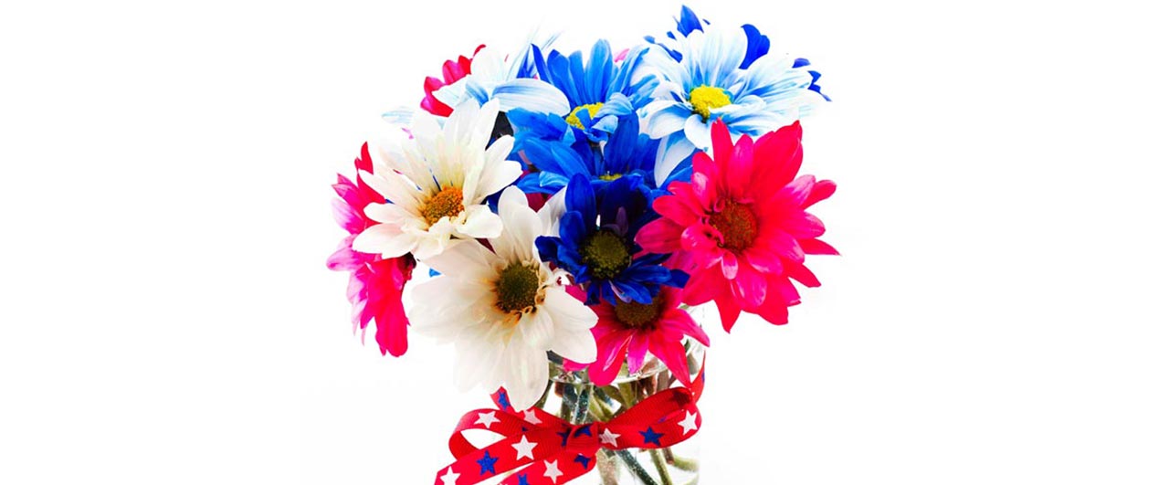 Photo of red, blue and white colored Gerbara daisies inside a glass jar, with a stars themed ribbon