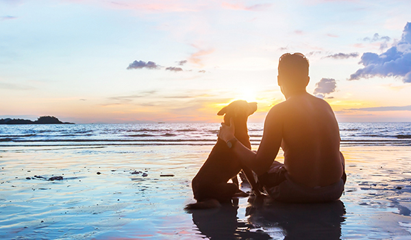 Photo silhouette of man and dog looking at a sunset