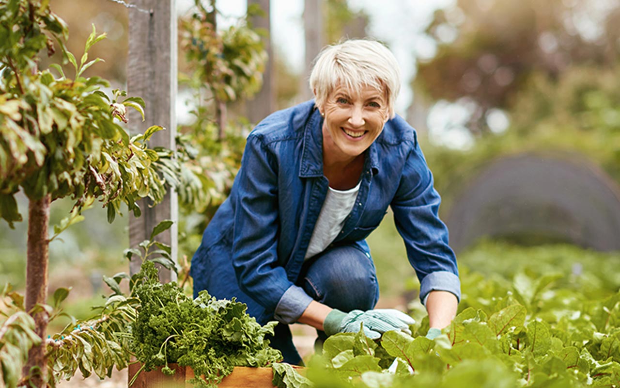 Image of senior woman working in a vegetable garden
